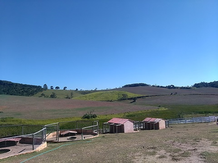 Picture1