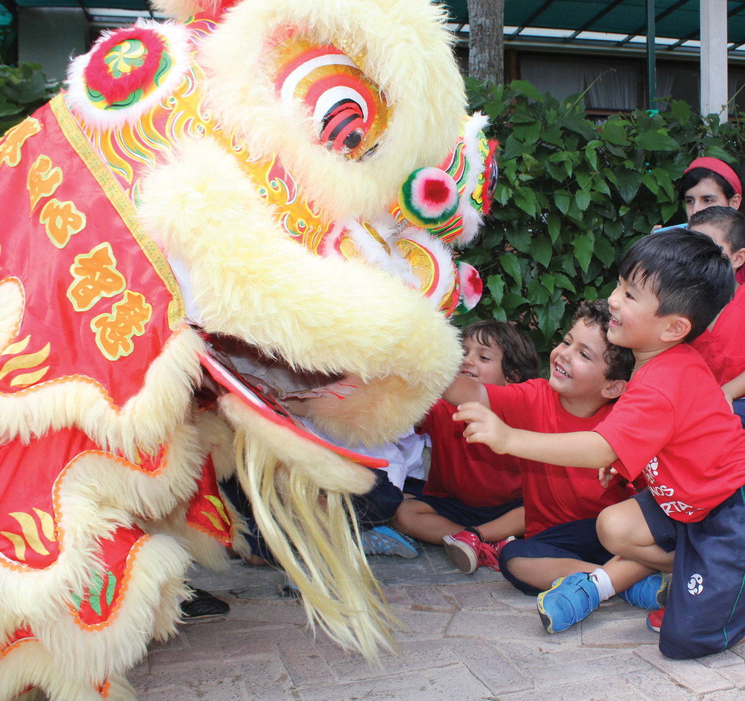 33_Projetos_Ano Novo Chinês