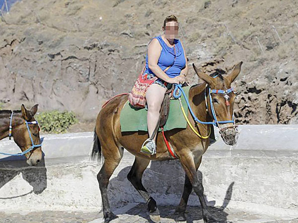 20181011CP04c_DONKEY_GREECE
